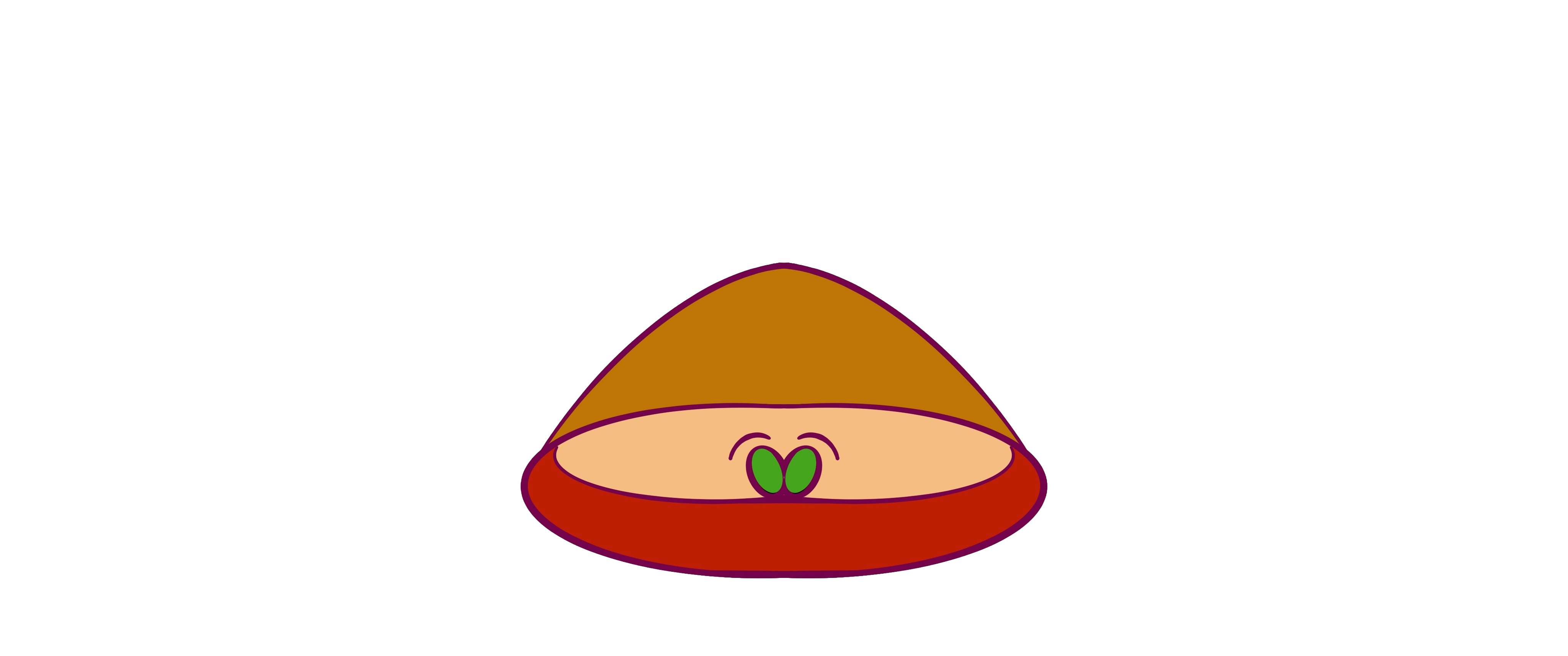 Cardifeye logo